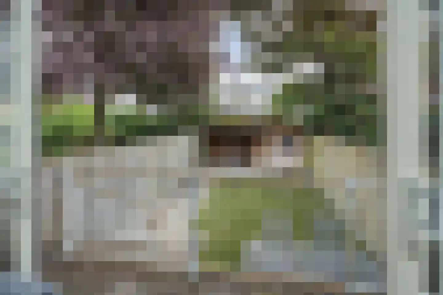 Schelvisstraat 35 Helmond thumbnail 42