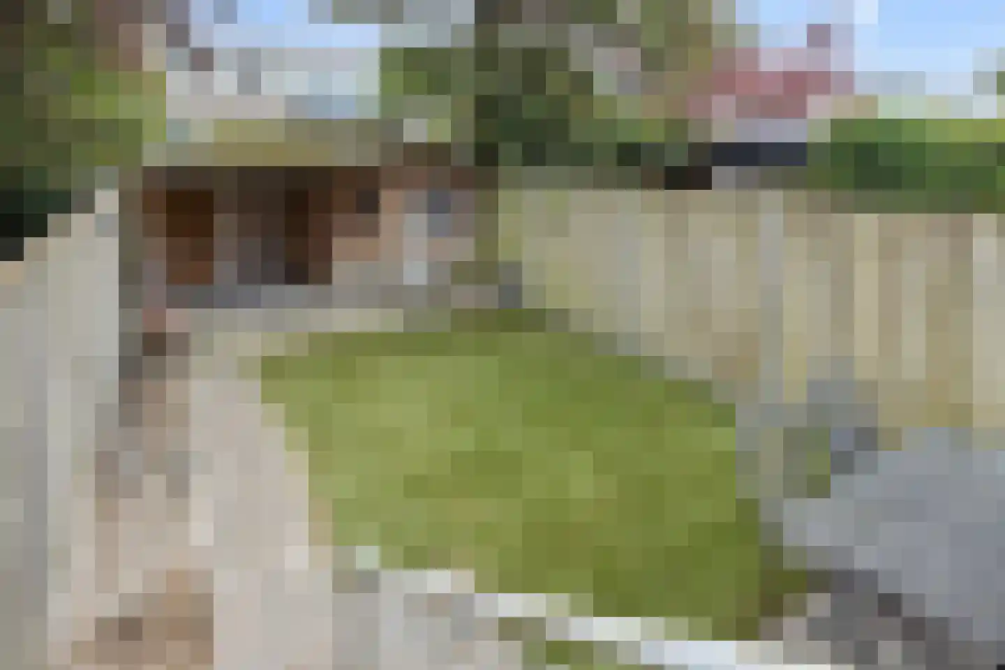 Schelvisstraat 35 Helmond thumbnail 46