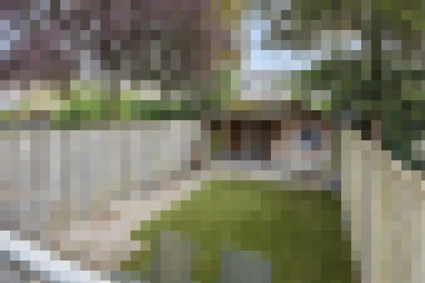 Schelvisstraat 35 Helmond thumbnail 47