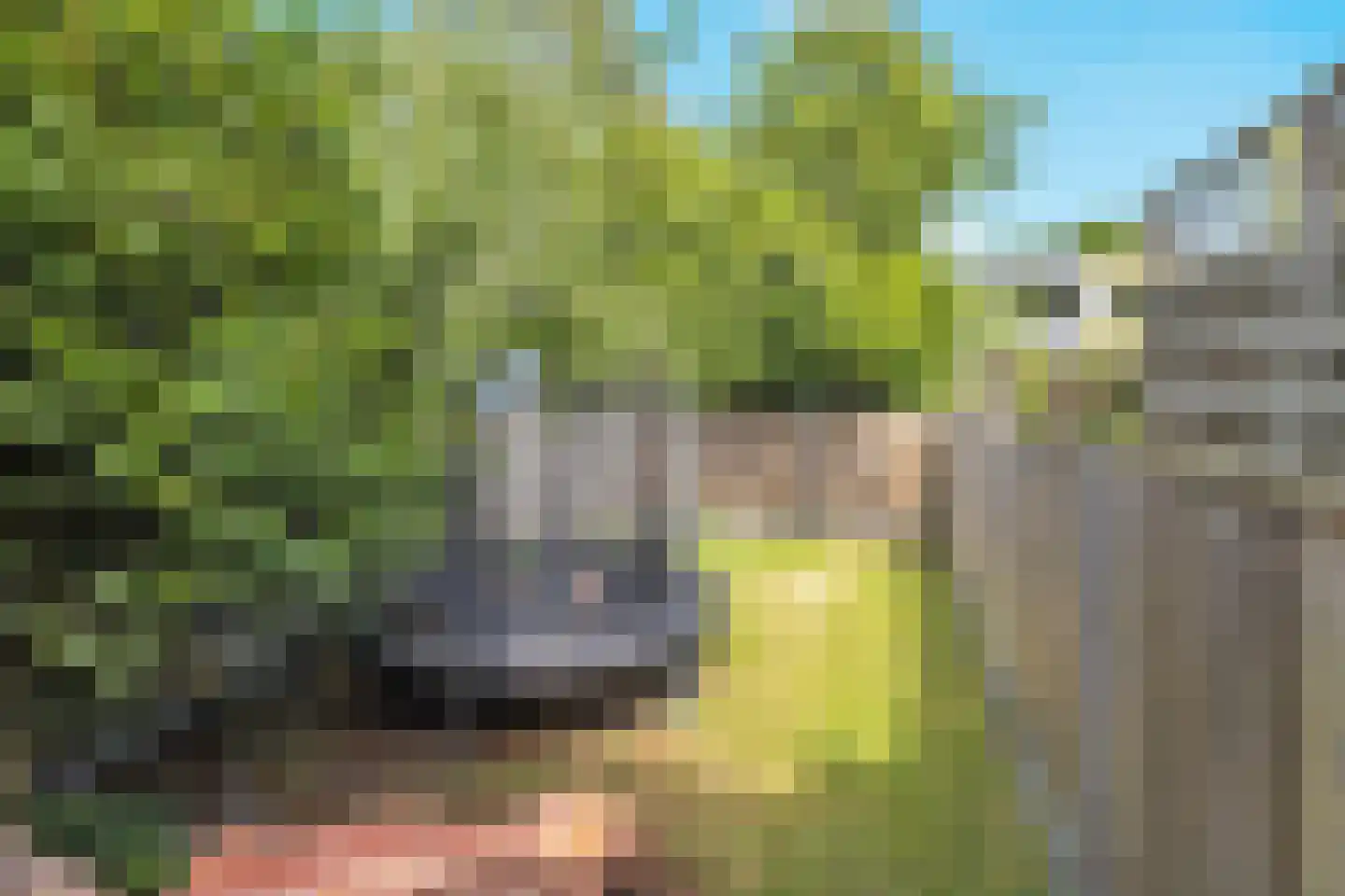 Schelvisstraat 5 Helmond thumbnail 4