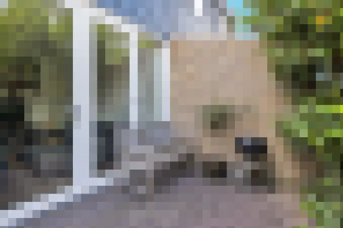 Schelvisstraat 5 Helmond thumbnail 40
