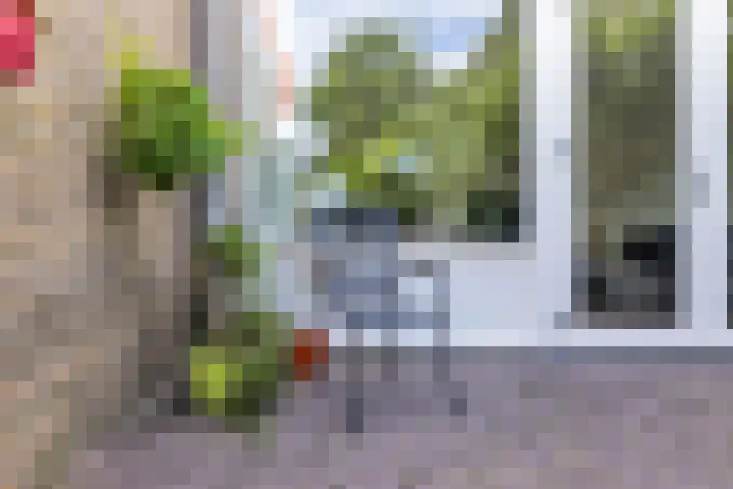 Schelvisstraat 5 Helmond thumbnail 45