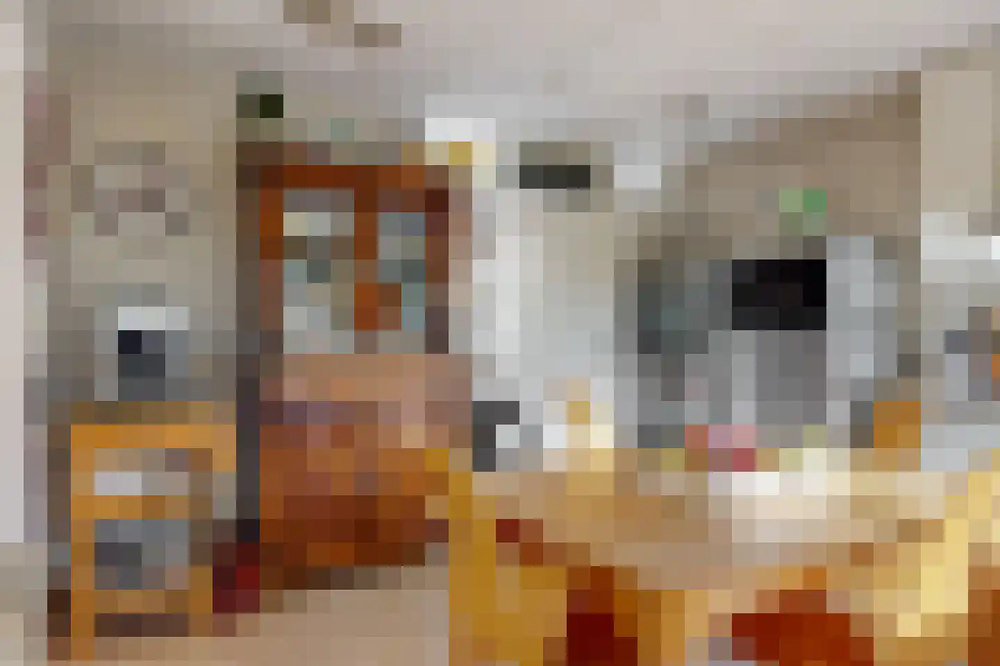Schemergaarde 1 Nieuwegein thumbnail 12