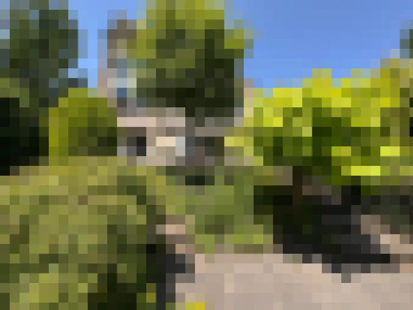 Schemergaarde 1 Nieuwegein thumbnail 17