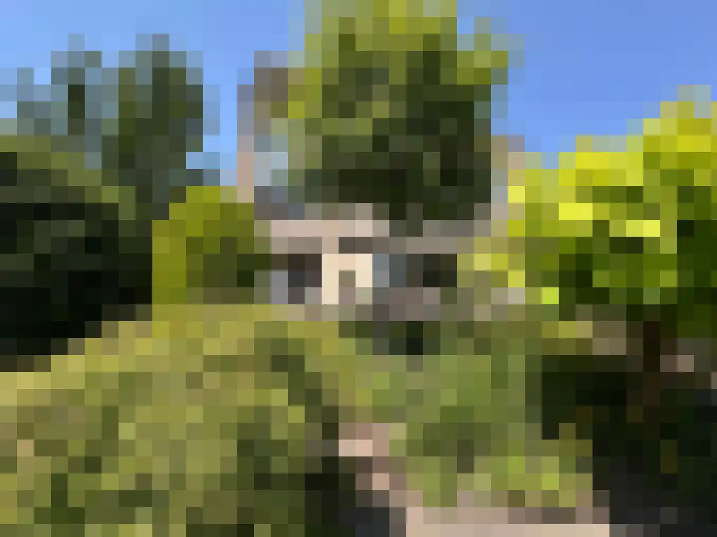 Schemergaarde 1 Nieuwegein thumbnail 19