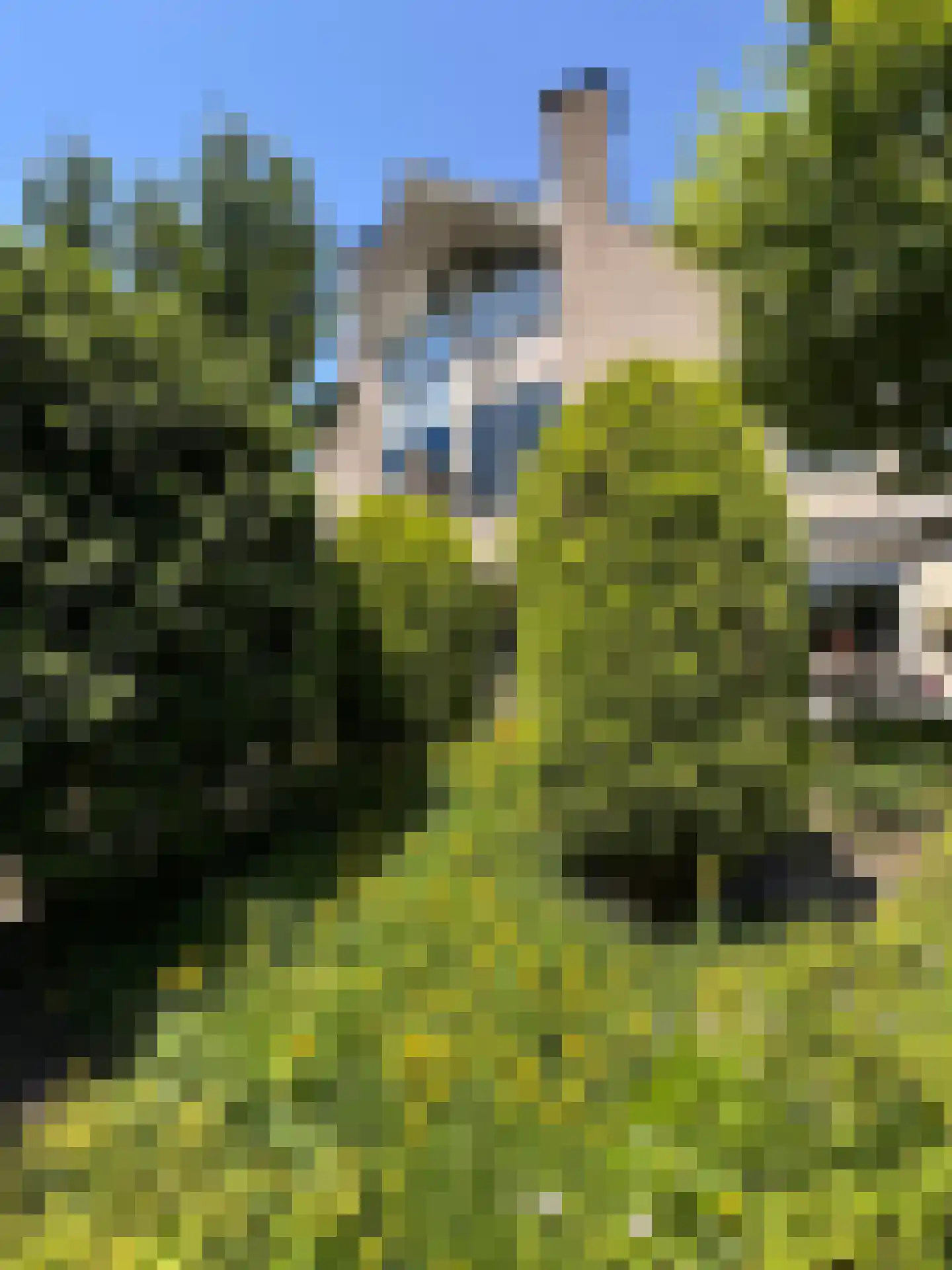 Schemergaarde 1 Nieuwegein thumbnail 21
