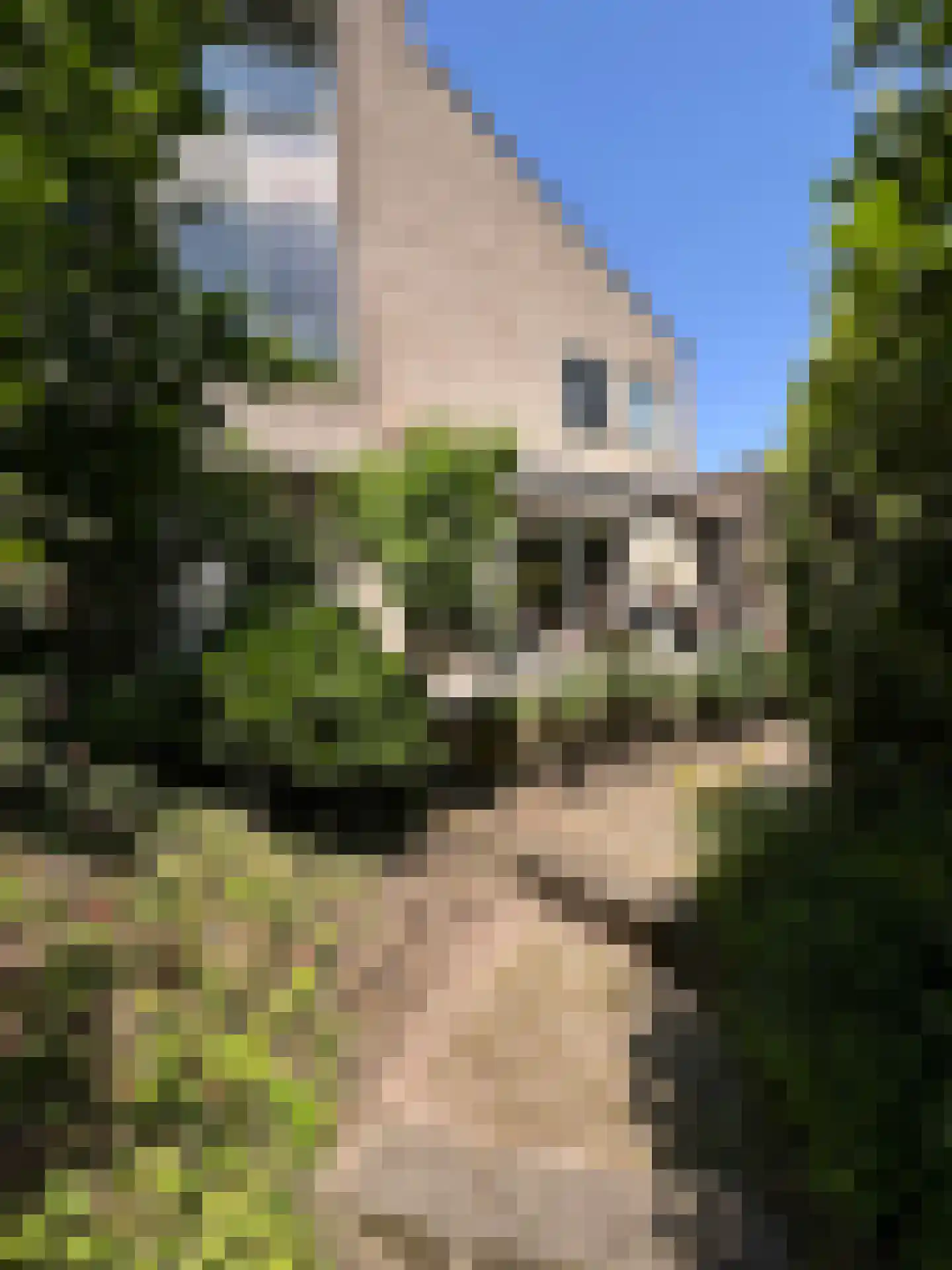 Schemergaarde 1 Nieuwegein thumbnail 22