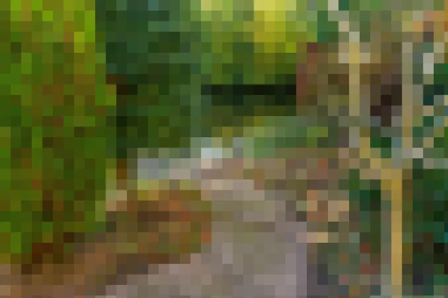 Schemergaarde 1 Nieuwegein thumbnail 23