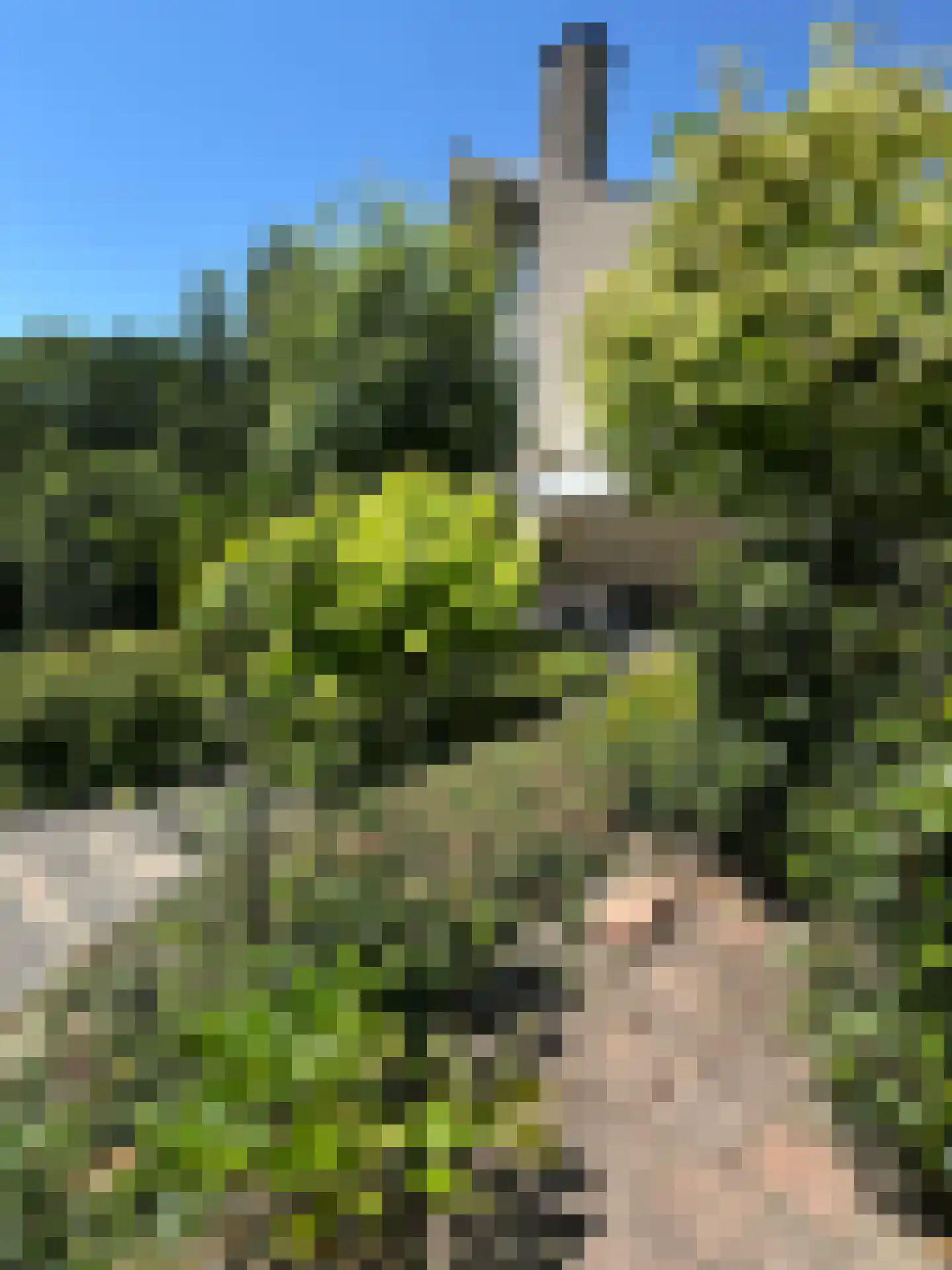 Schemergaarde 1 Nieuwegein thumbnail 23