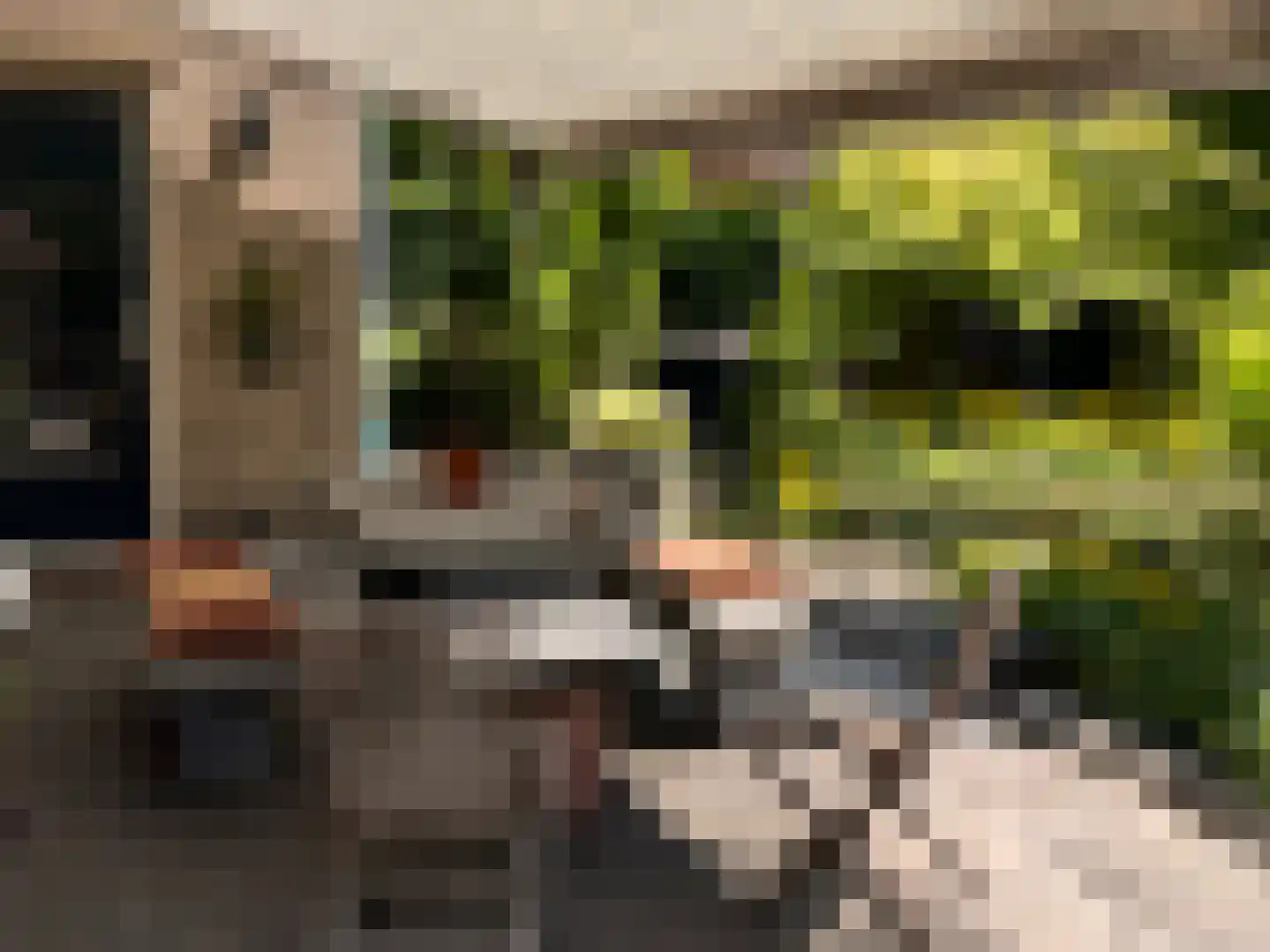 Schemergaarde 1 Nieuwegein thumbnail 24