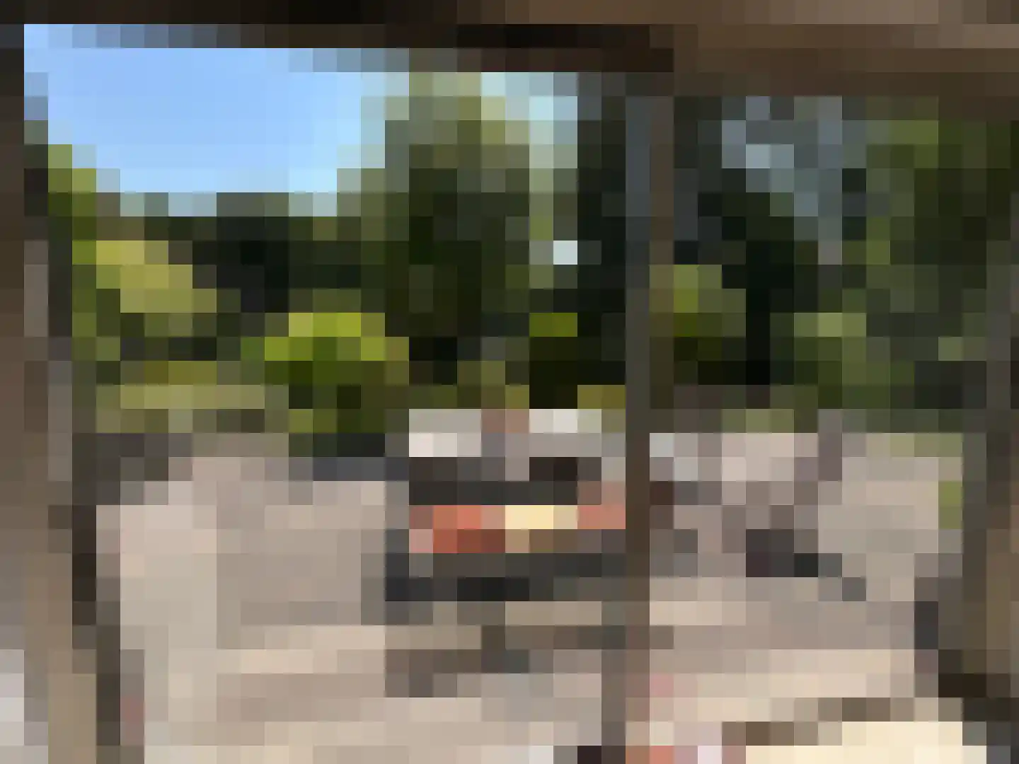 Schemergaarde 1 Nieuwegein thumbnail 25