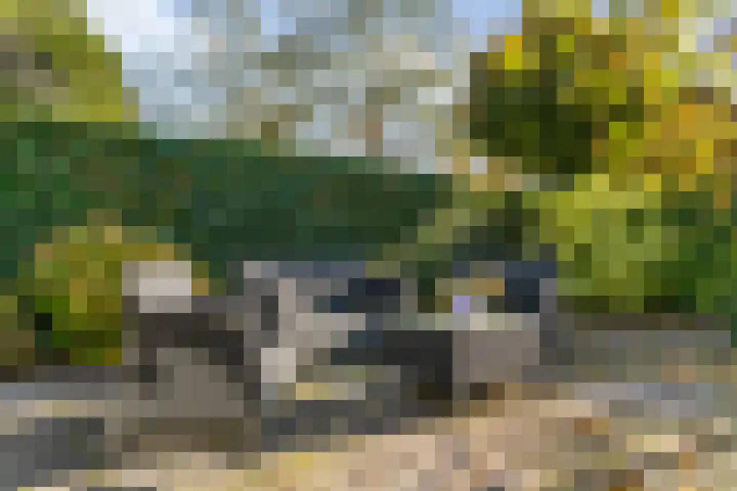 Schemergaarde 1 Nieuwegein thumbnail 25