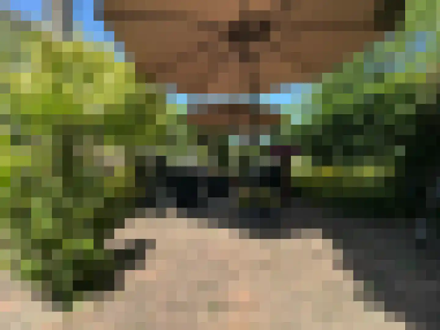 Schemergaarde 1 Nieuwegein thumbnail 26