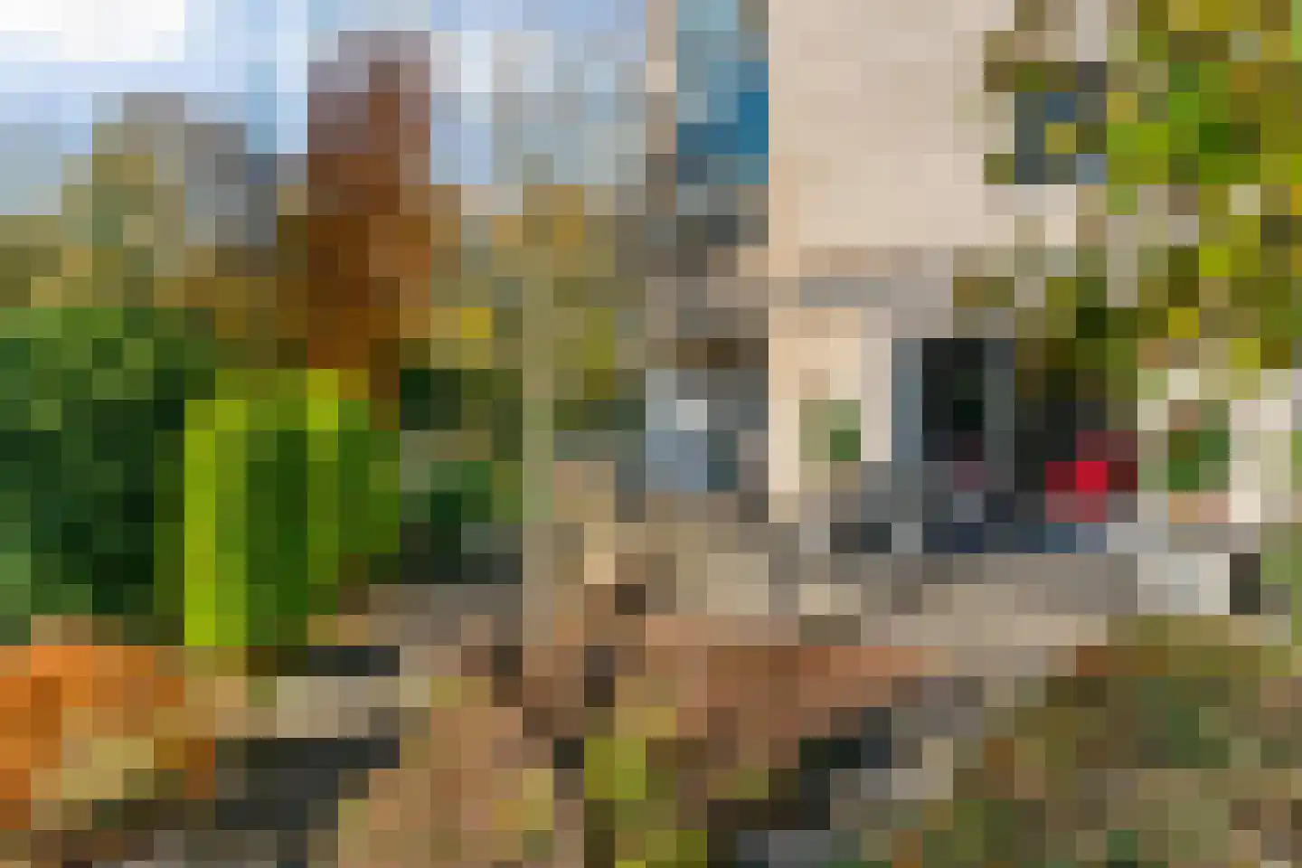 Schemergaarde 1 Nieuwegein thumbnail 27