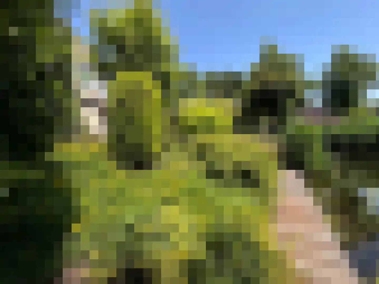 Schemergaarde 1 Nieuwegein thumbnail 28