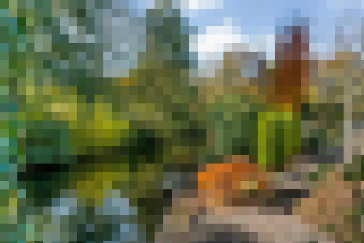 Schemergaarde 1 Nieuwegein thumbnail 30