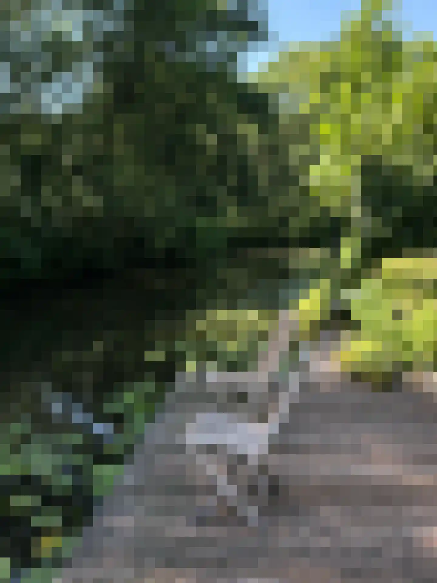 Schemergaarde 1 Nieuwegein thumbnail 33