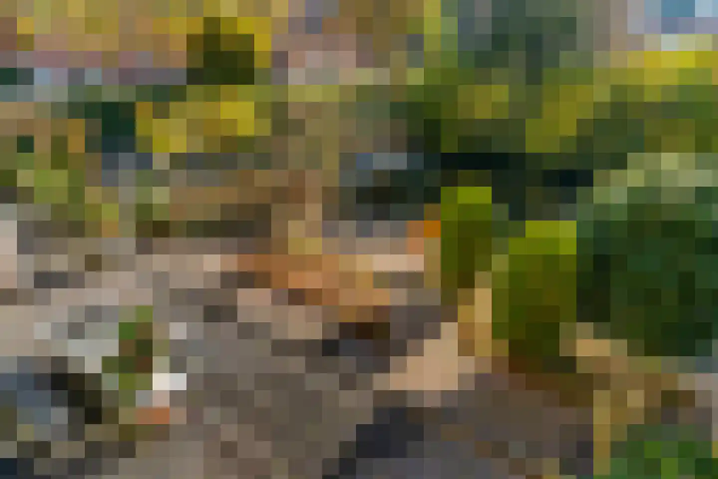 Schemergaarde 1 Nieuwegein thumbnail 42
