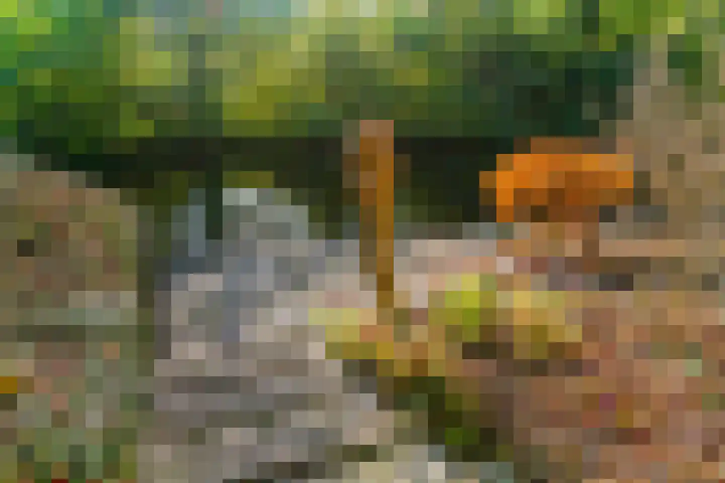 Schemergaarde 1 Nieuwegein thumbnail 47
