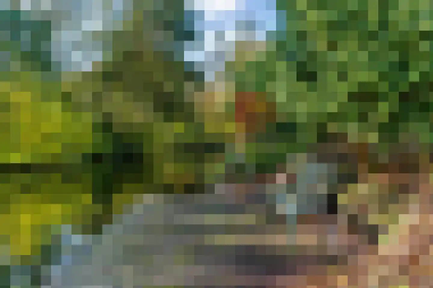 Schemergaarde 1 Nieuwegein thumbnail 48