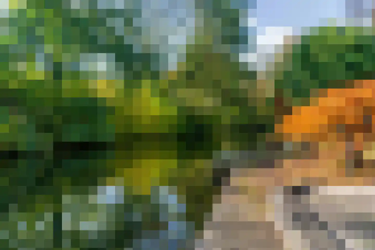 Schemergaarde 1 Nieuwegein thumbnail 49