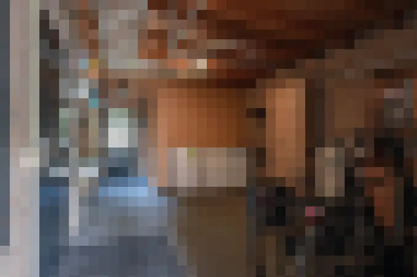 Schemperserf 107 Staphorst thumbnail 15