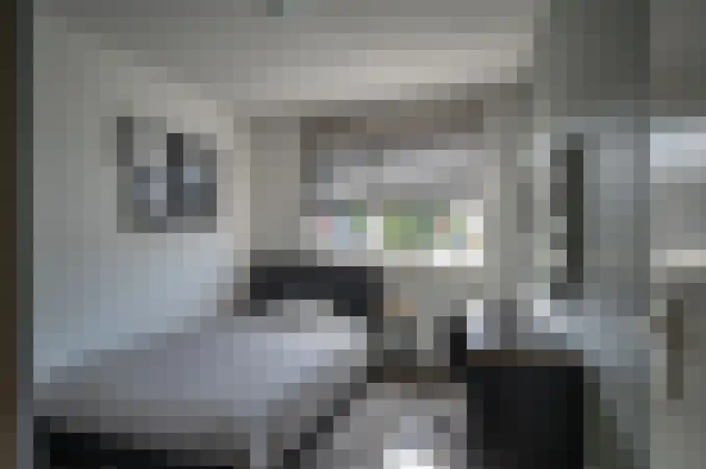 Schemperserf 107 Staphorst thumbnail 17
