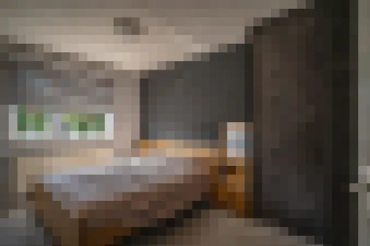 Schemperserf 107 Staphorst thumbnail 19