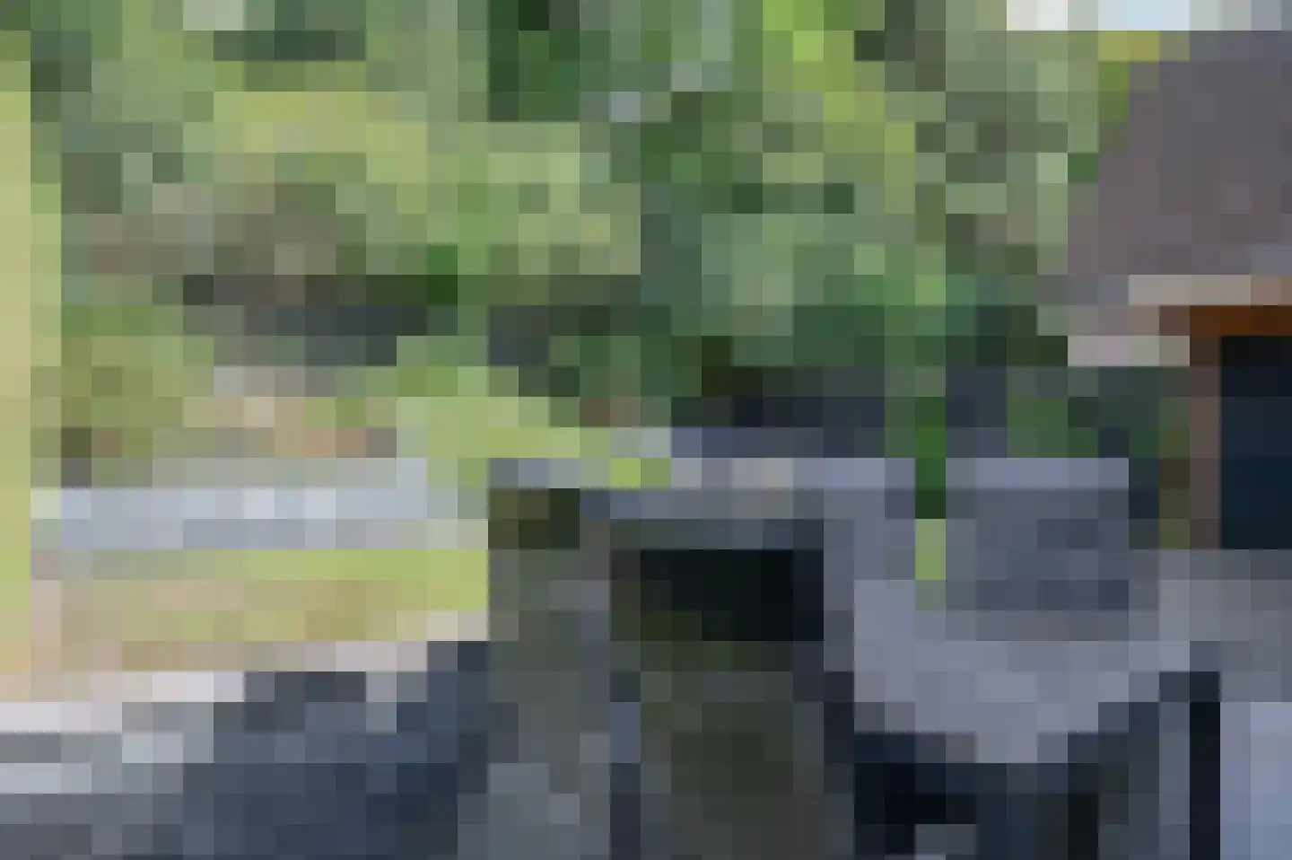 Schemperserf 107 Staphorst thumbnail 32