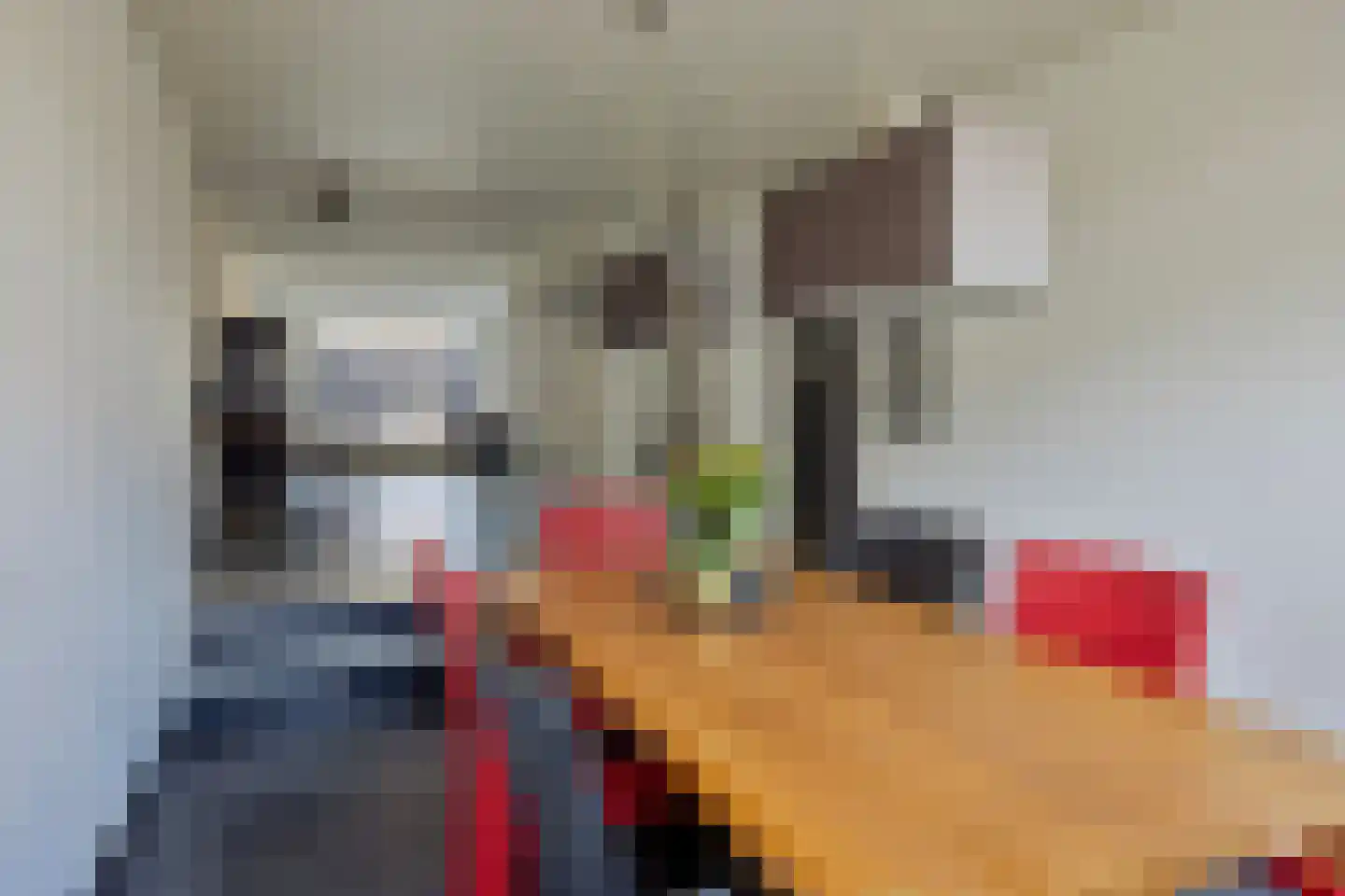 Schemperserf 65 Staphorst thumbnail 16
