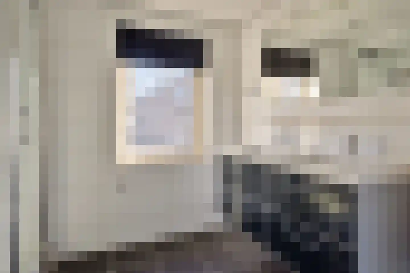 Schemperserf 65 Staphorst thumbnail 27