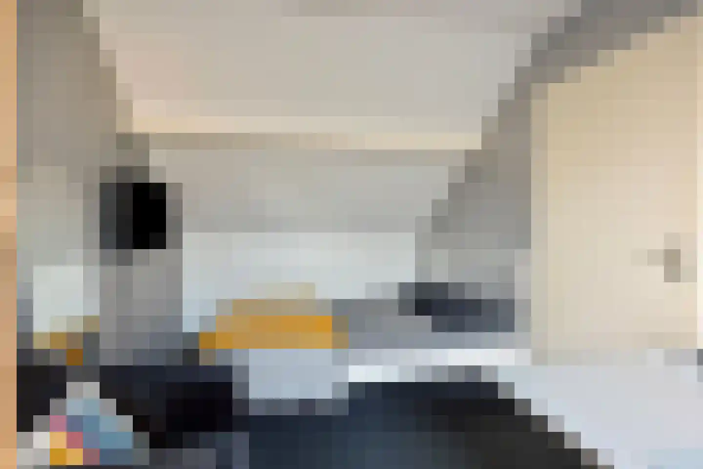 Schemperserf 65 Staphorst thumbnail 38