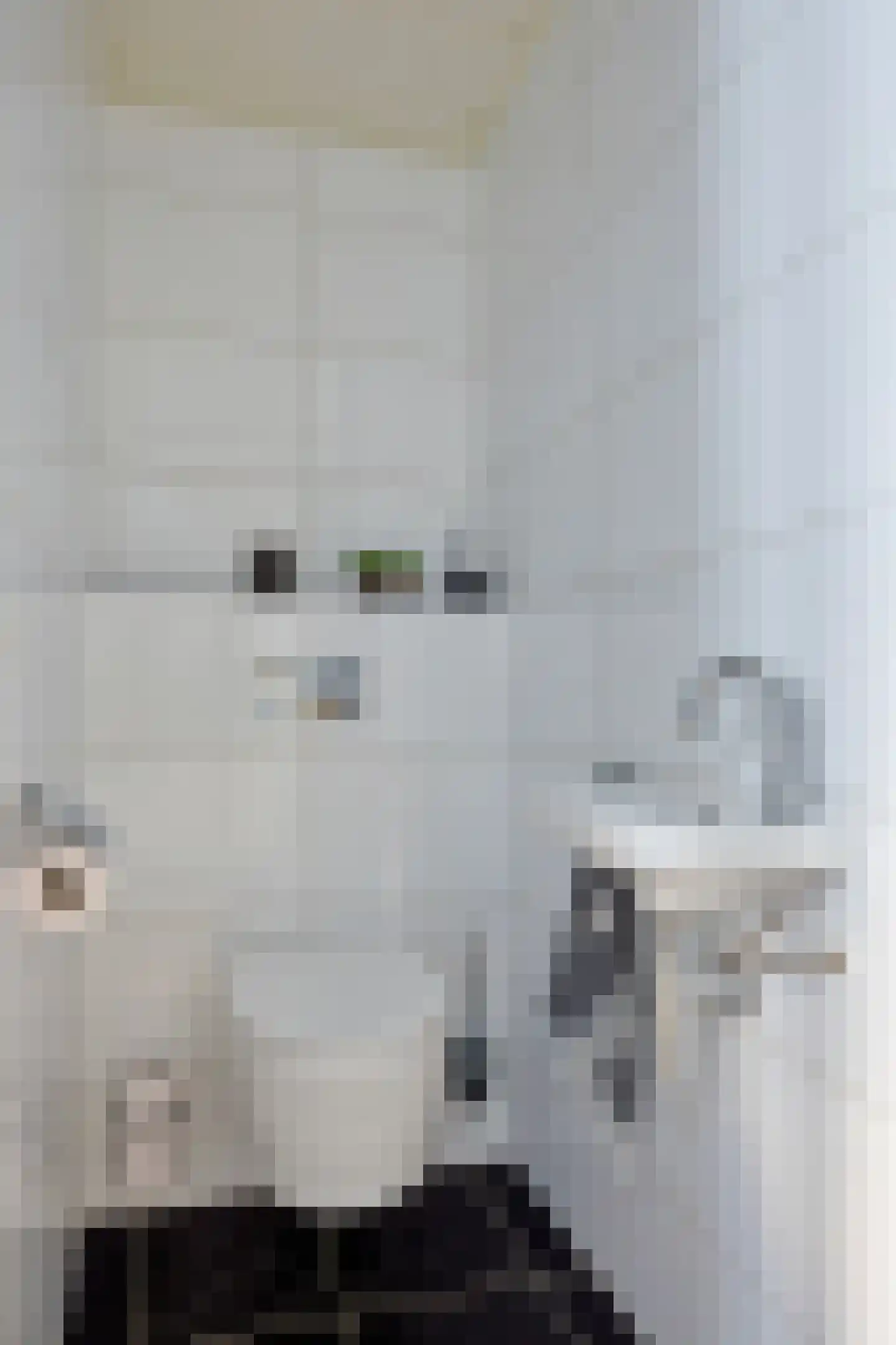 Schemperserf 65 Staphorst thumbnail 9
