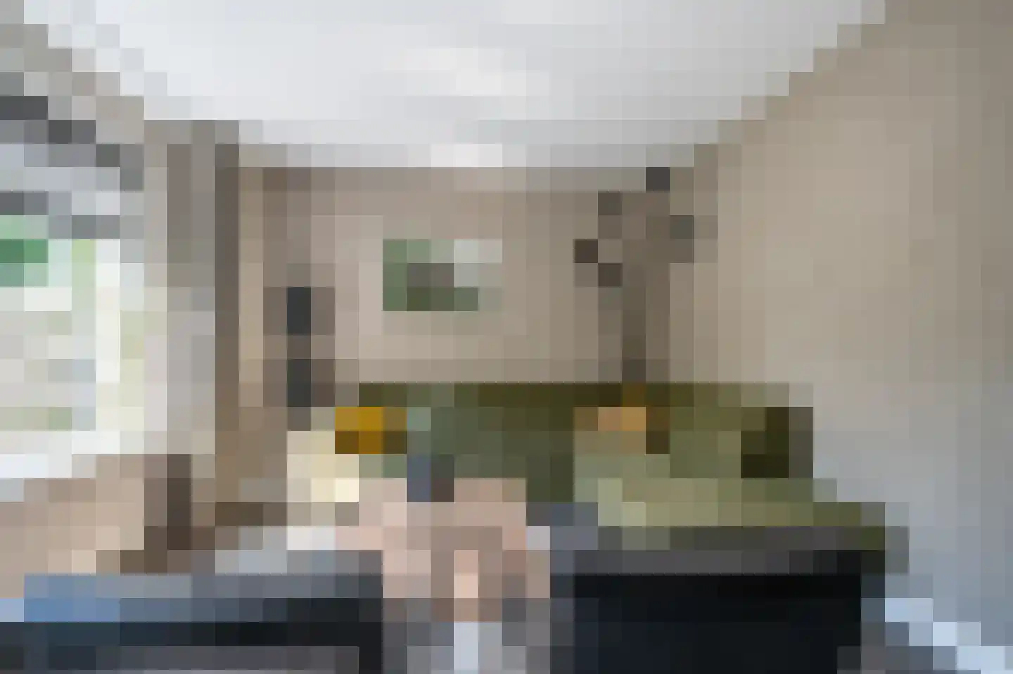 Schemperserf 69 Staphorst thumbnail 10