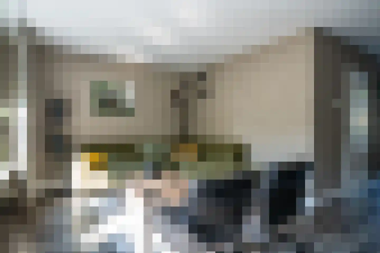Schemperserf 69 Staphorst foto 2