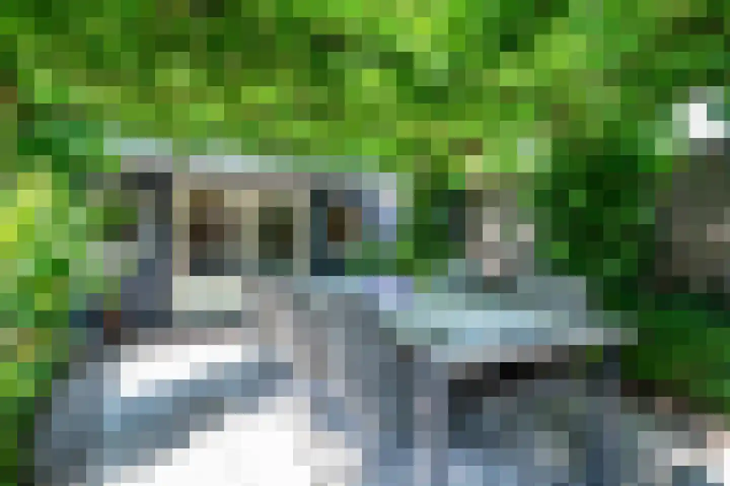 Schemperserf 69 Staphorst foto 3