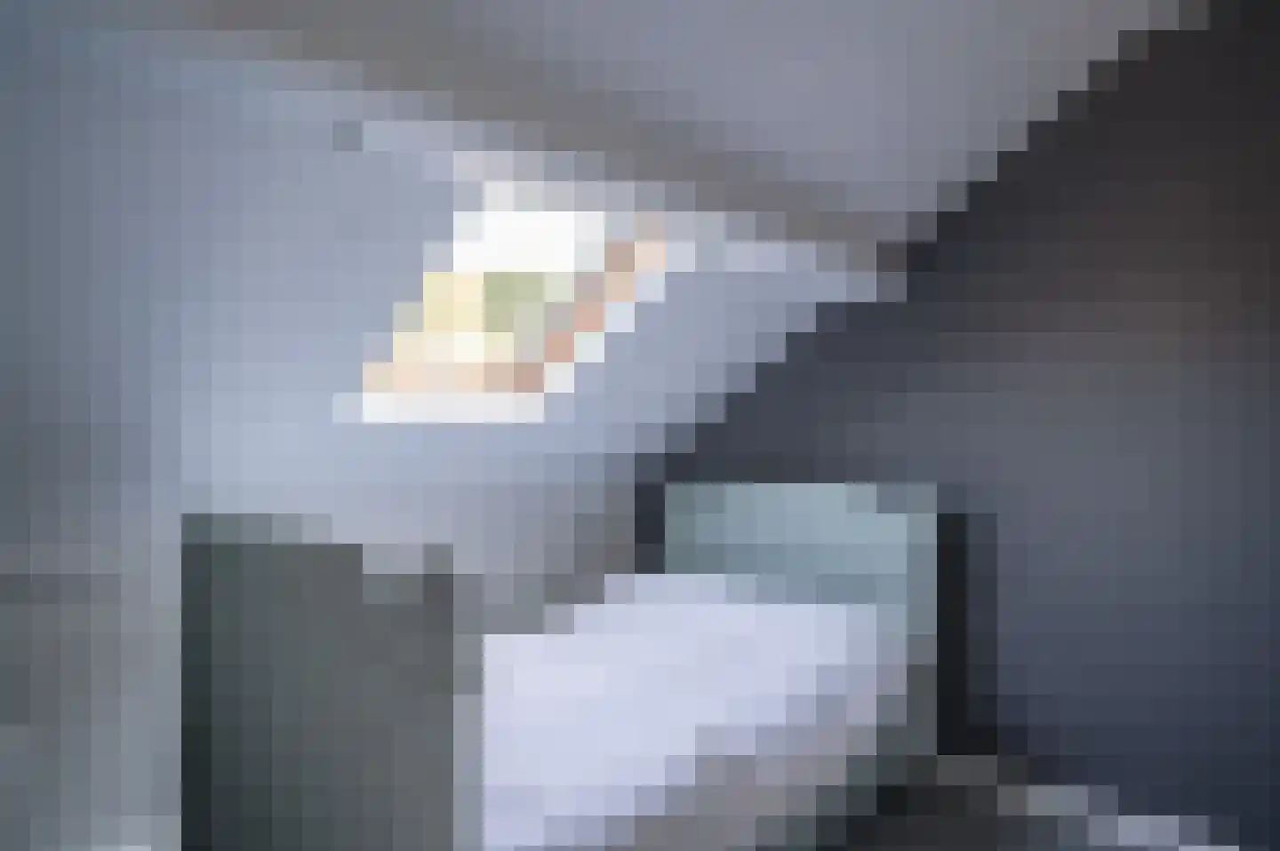 Schemperserf 69 Staphorst thumbnail 30