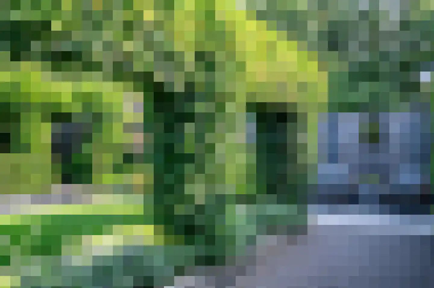 Schemperserf 69 Staphorst thumbnail 35