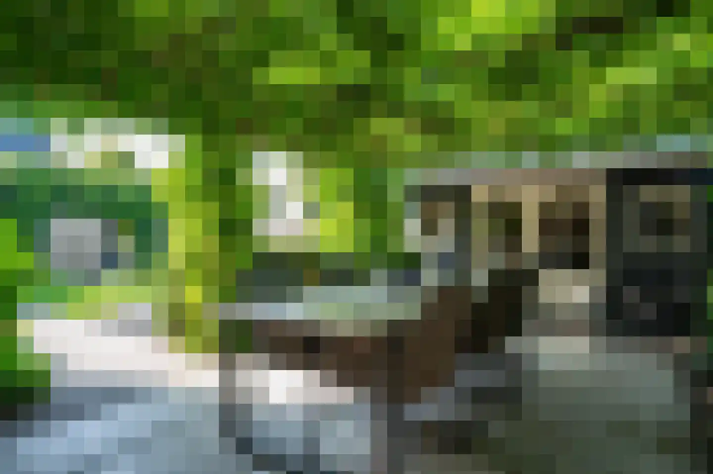 Schemperserf 69 Staphorst thumbnail 38