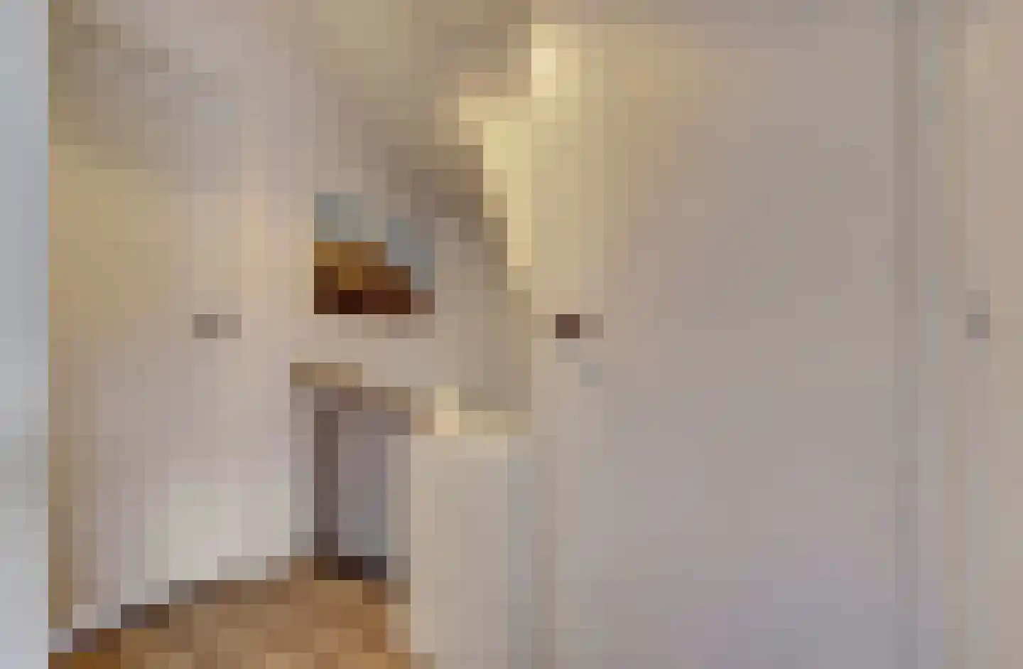 Schenck van Nijdeggenstraat 15 Venlo thumbnail 18