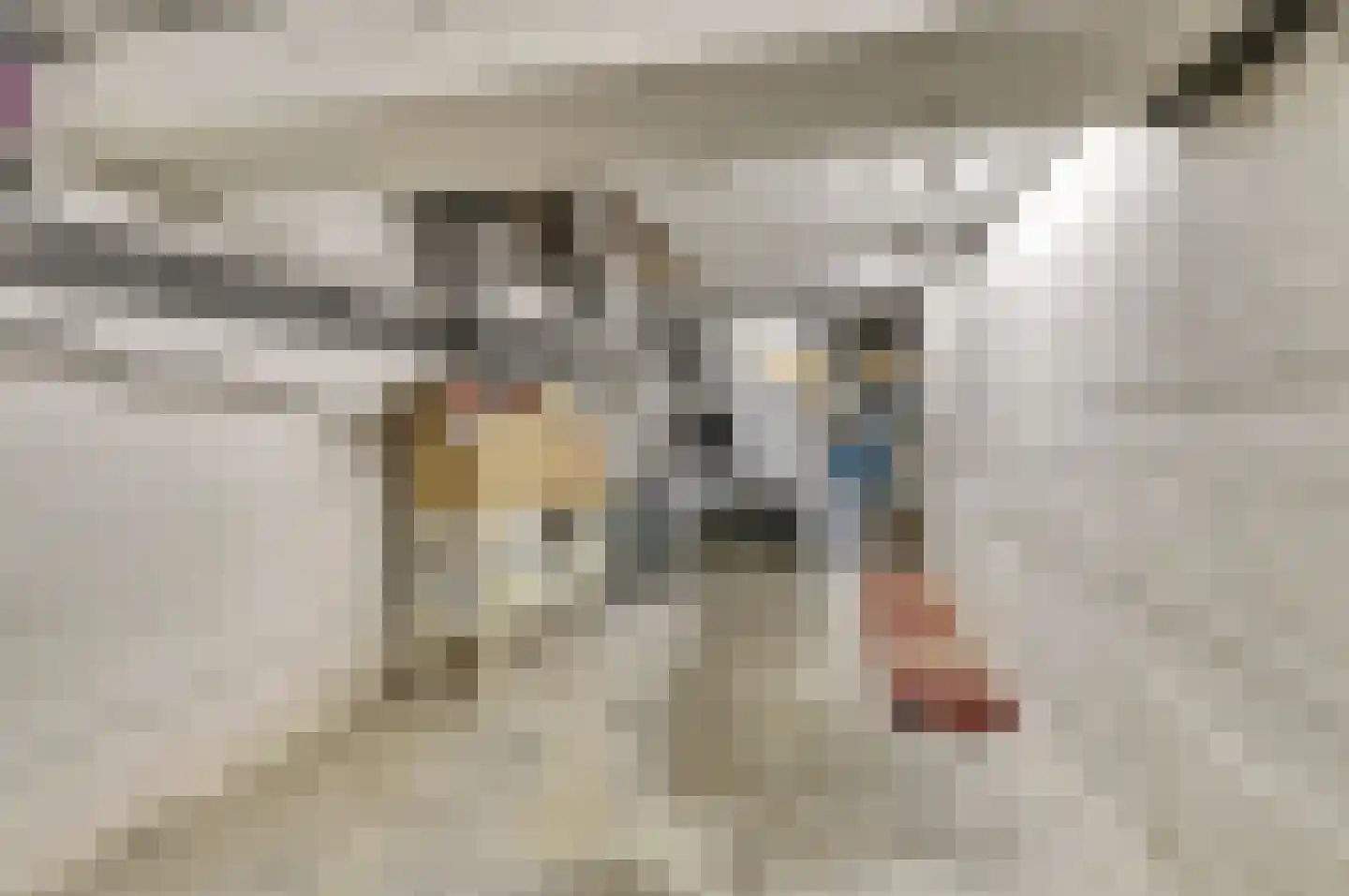 Schenck van Nijdeggenstraat 15 Venlo thumbnail 20