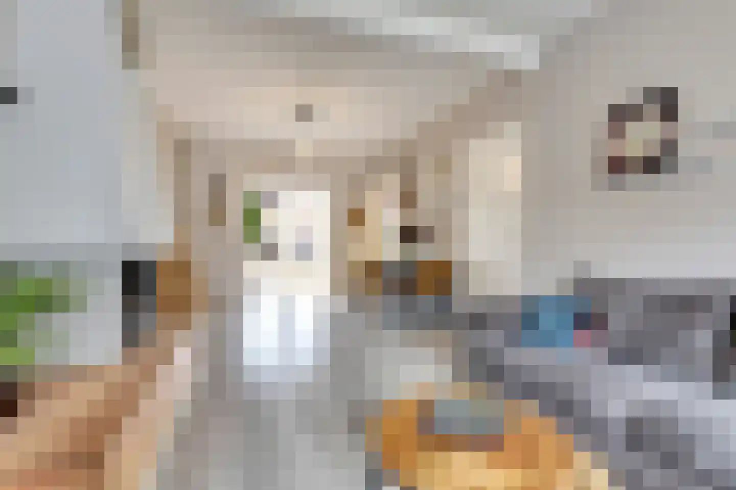 Schenck van Nijdeggenstraat 15 Venlo thumbnail 4