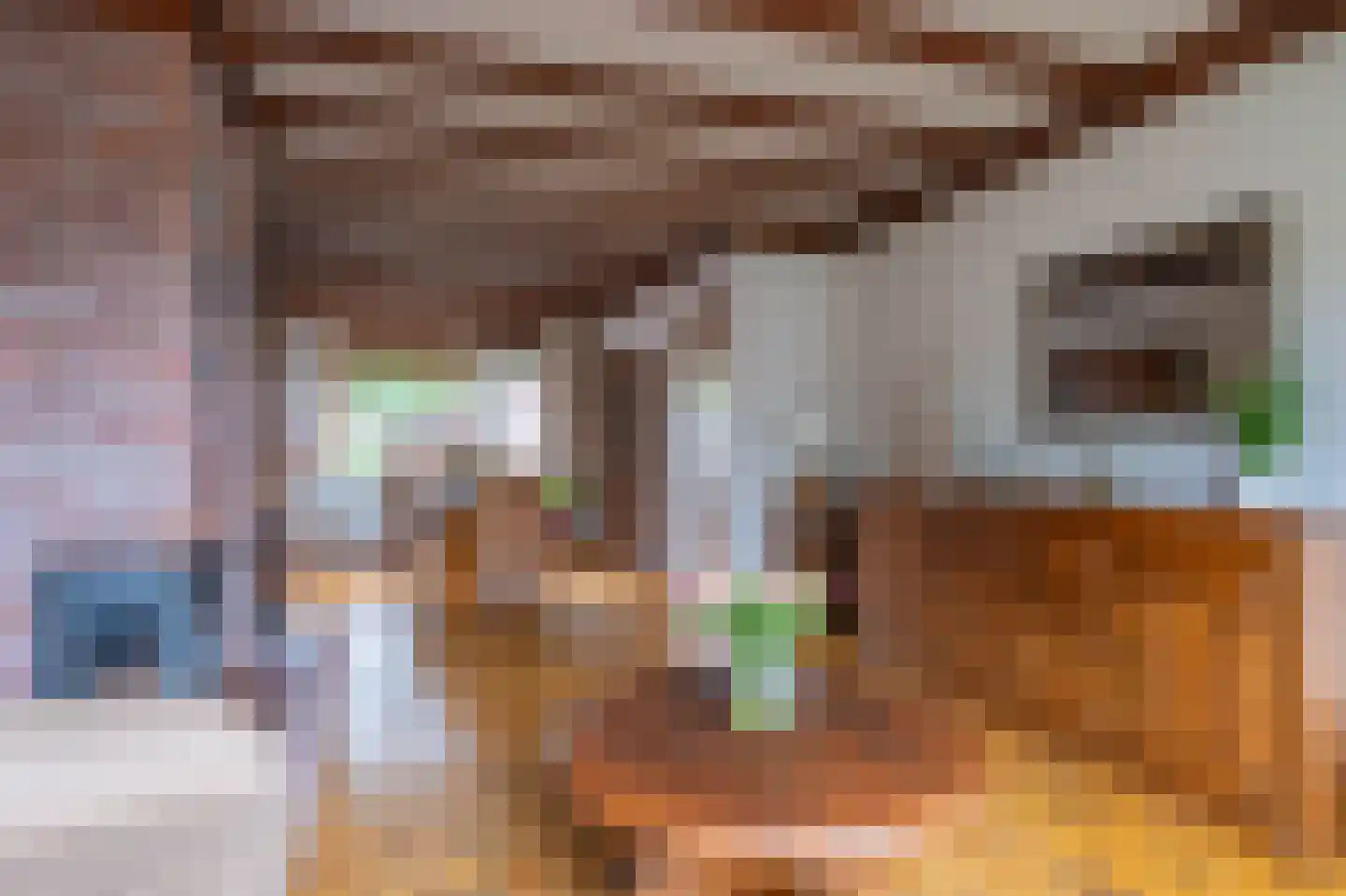 Schenck van Nydeggenstraat 27 Sevenum thumbnail 11
