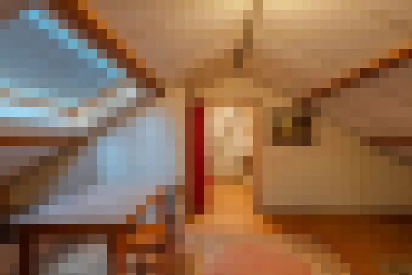 Schenck van Nydeggenstraat 27 Sevenum thumbnail 25