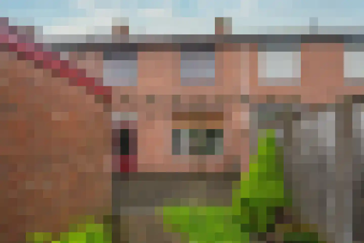 Schenck van Nydeggenstraat 27 Sevenum thumbnail 32