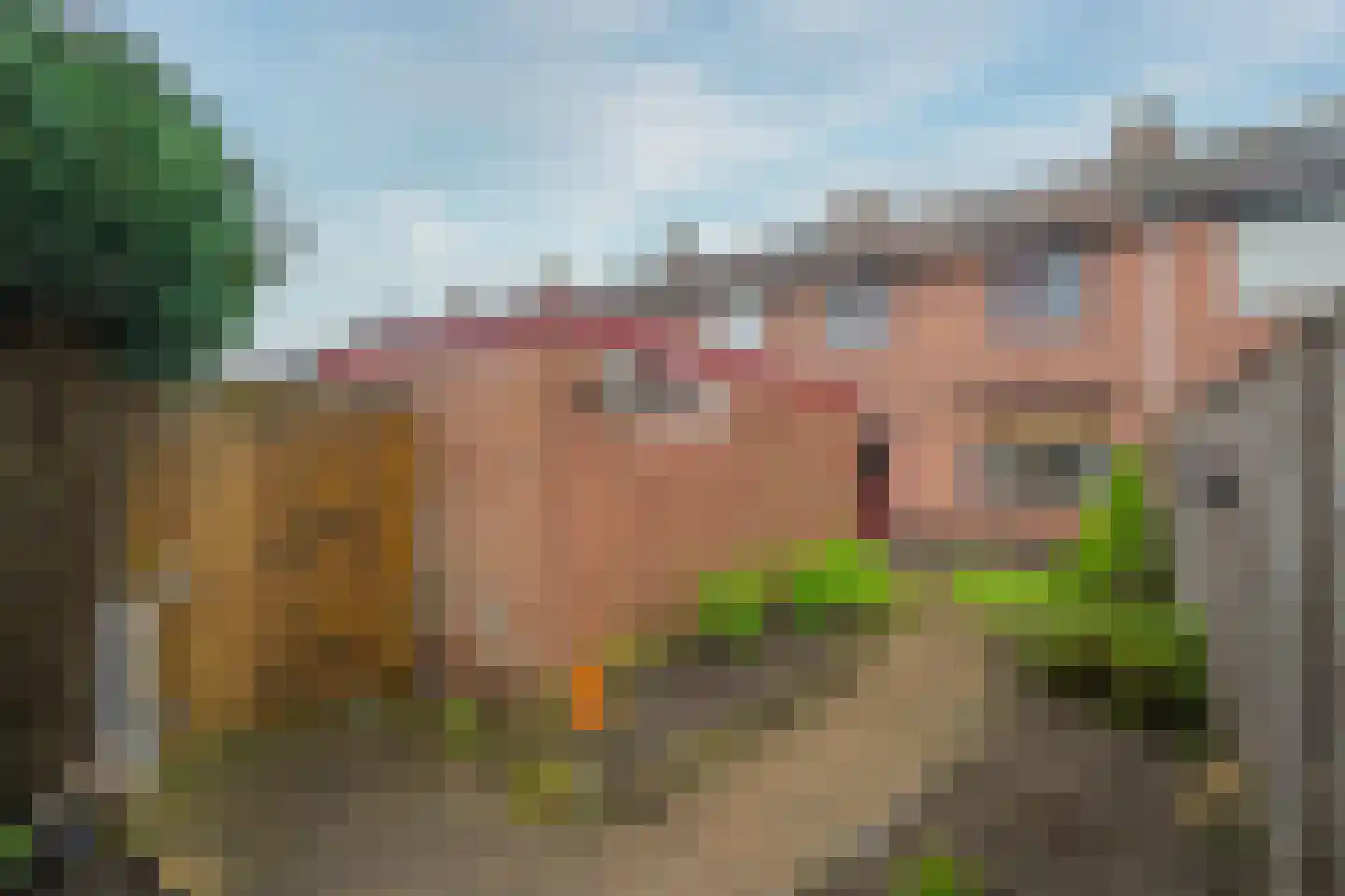 Schenck van Nydeggenstraat 27 Sevenum thumbnail 33