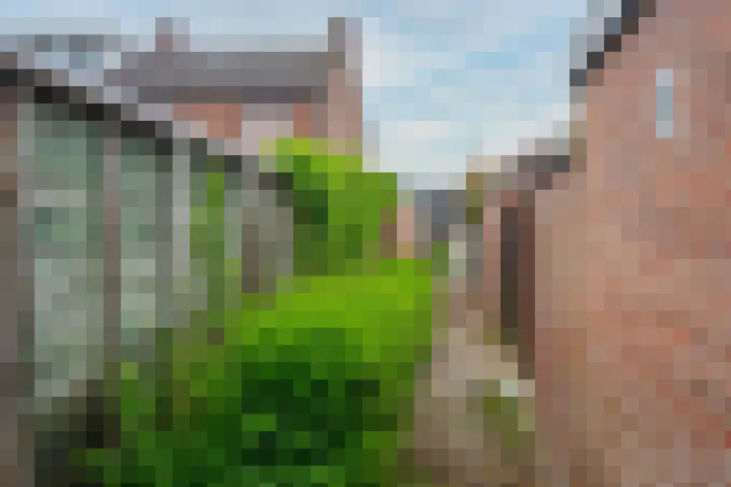 Schenck van Nydeggenstraat 27 Sevenum thumbnail 35