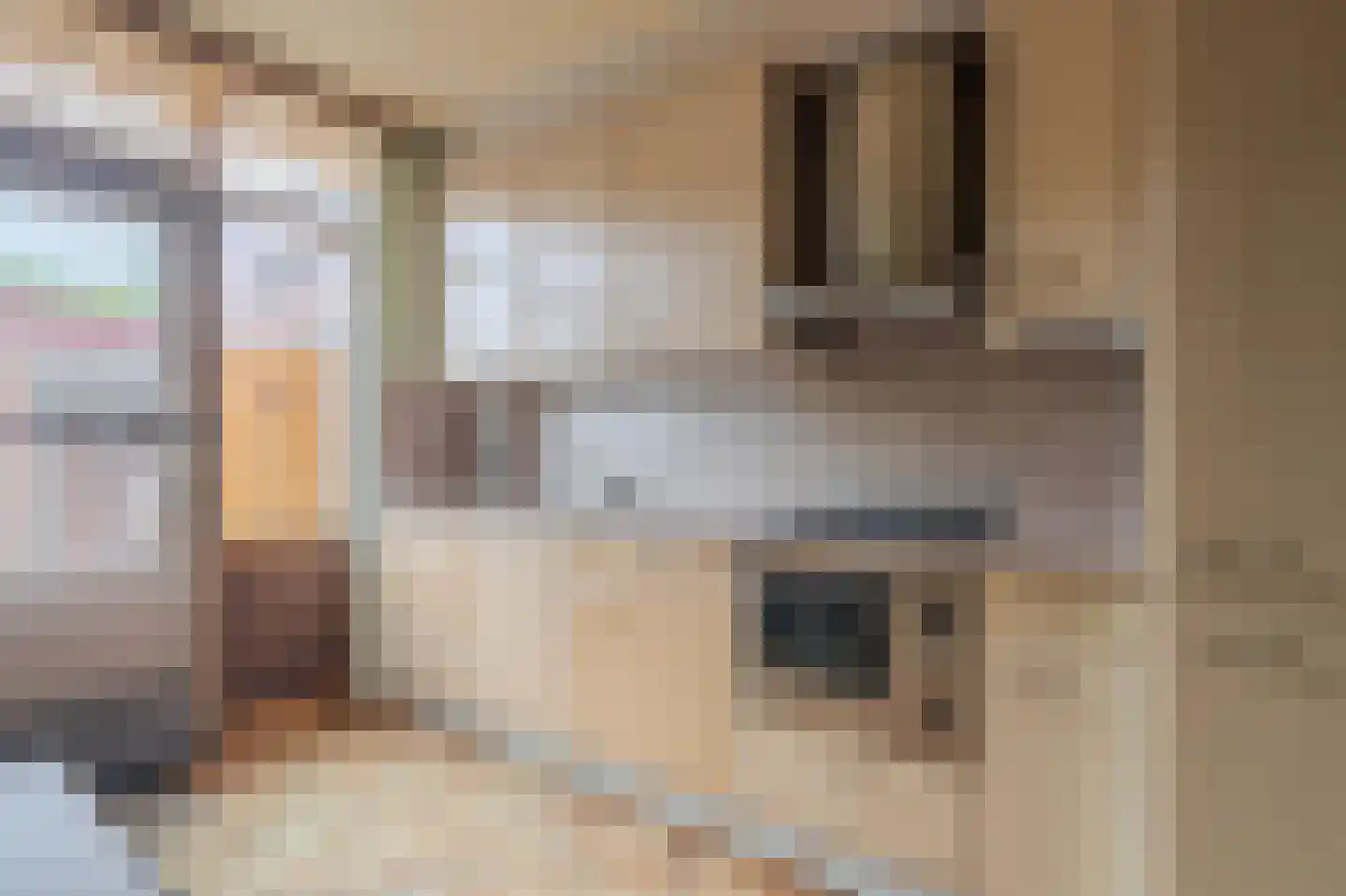 Schenck van Nydeggenstraat 27 Sevenum thumbnail 4