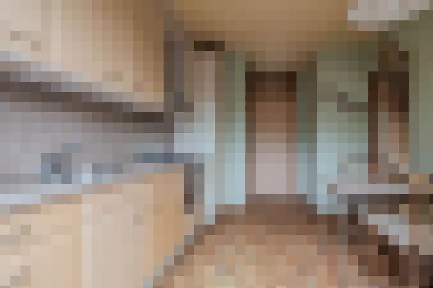 Schenck van Nydeggenstraat 27 Sevenum thumbnail 6