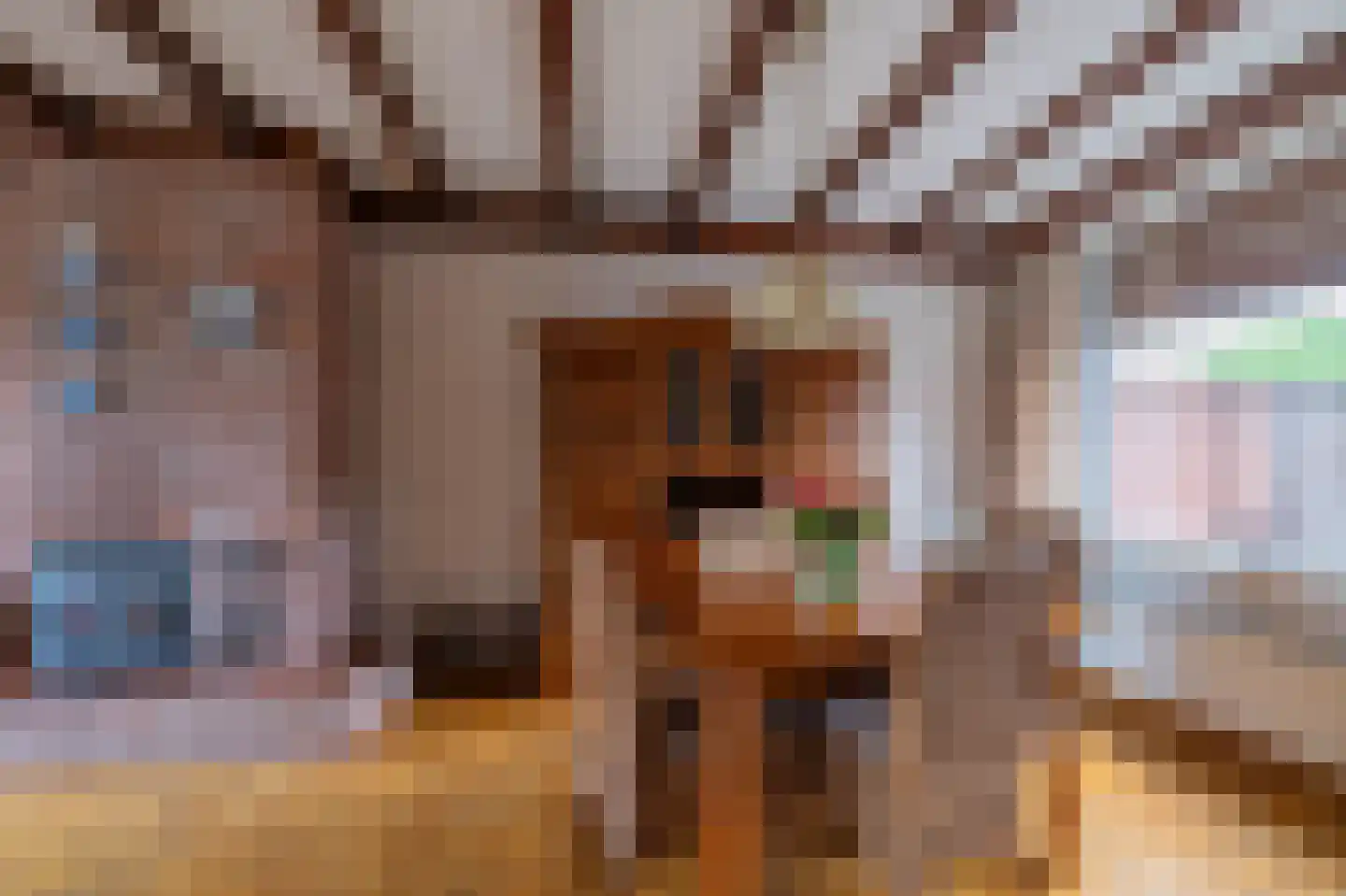 Schenck van Nydeggenstraat 27 Sevenum thumbnail 7